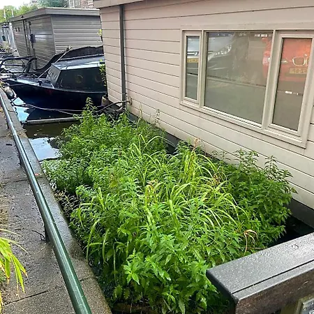 Houseboat Bonnie-3